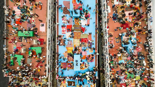 Comment les écoles peuvent-elles utiliser les jardins potagers comme outils pédagogiques ?