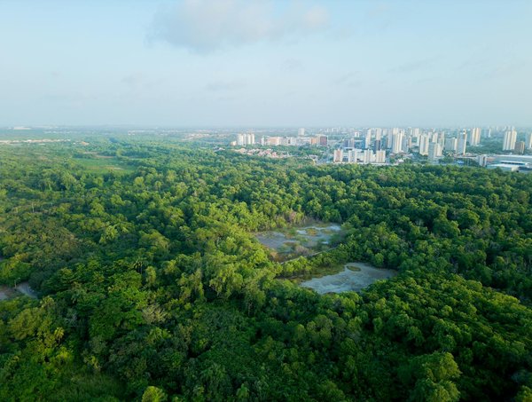 Quelles astuces pour organiser une soirée de création de mosaïques avec des tessons de céramique ?