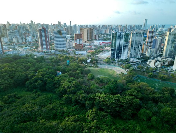 Quels conseils pour aménager une chambre d'enfant fonctionnelle et ludique?